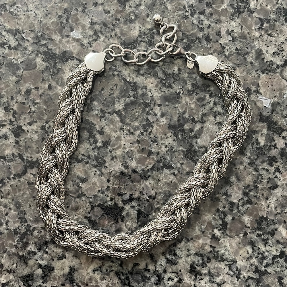 Express silver necklace